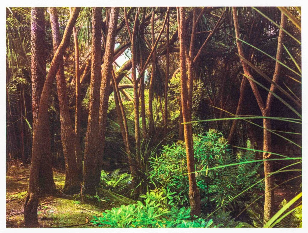 Tri-color gum over platinum-palladium, 34 x 25,5 cm © Elise Prudhomme