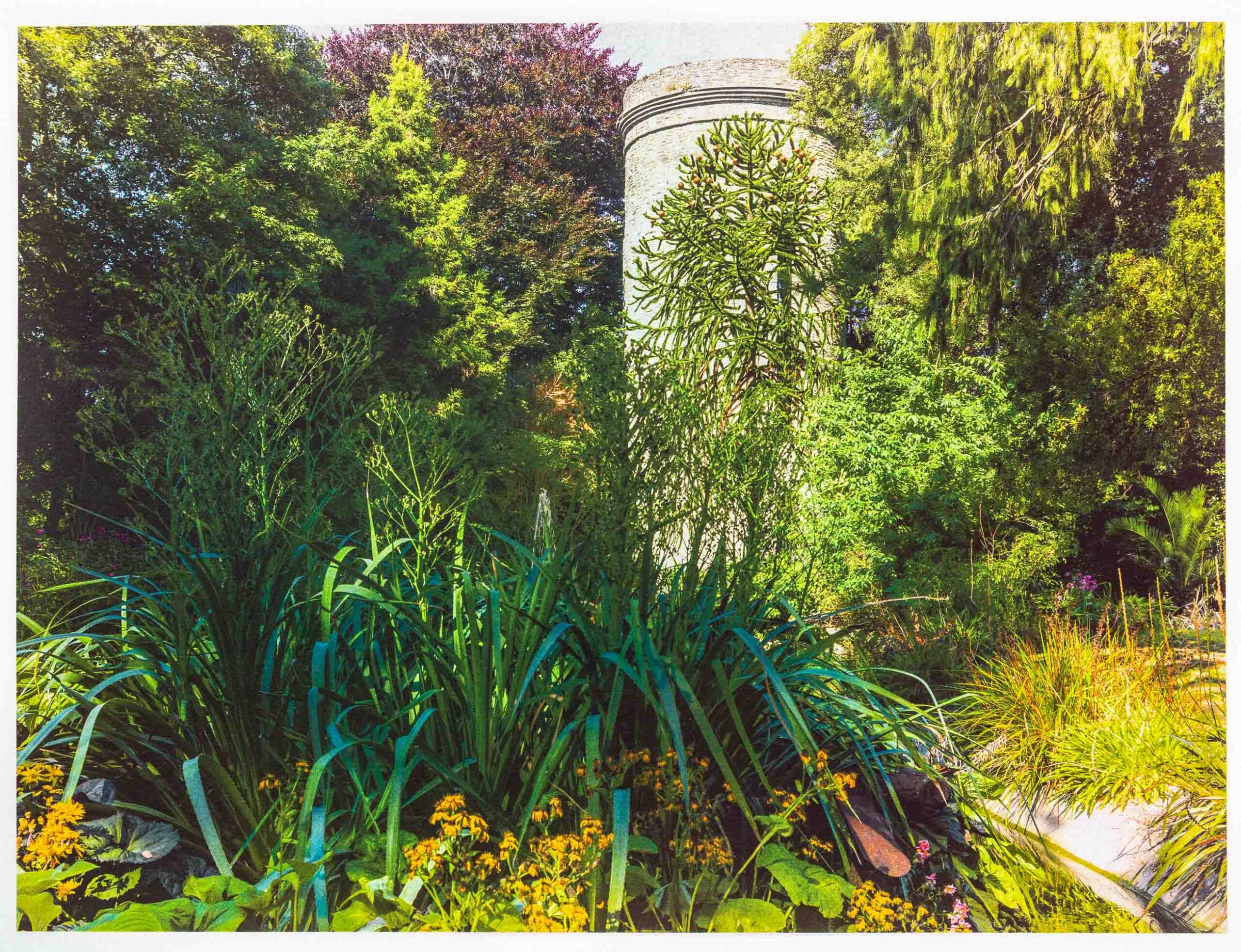 Parc Emmanuel Liais Cherbourg 2021