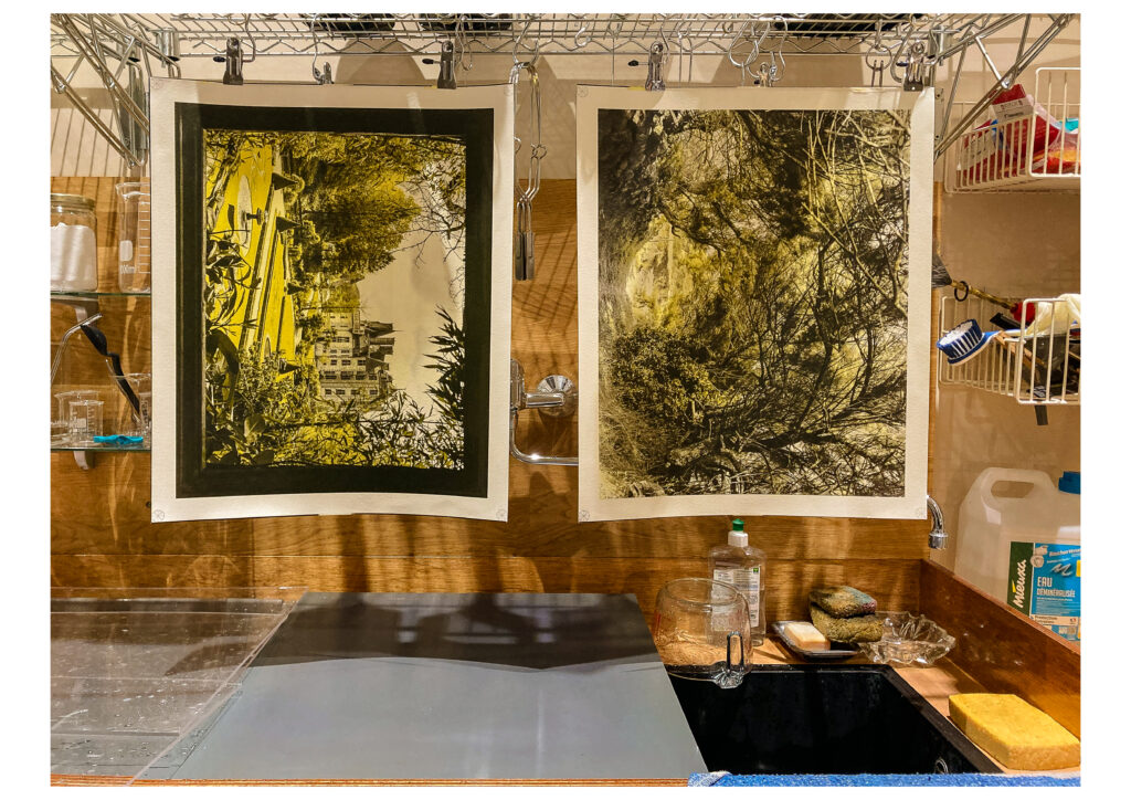 Work in progress - tricolor gum over palladium - palladium and yellow layers