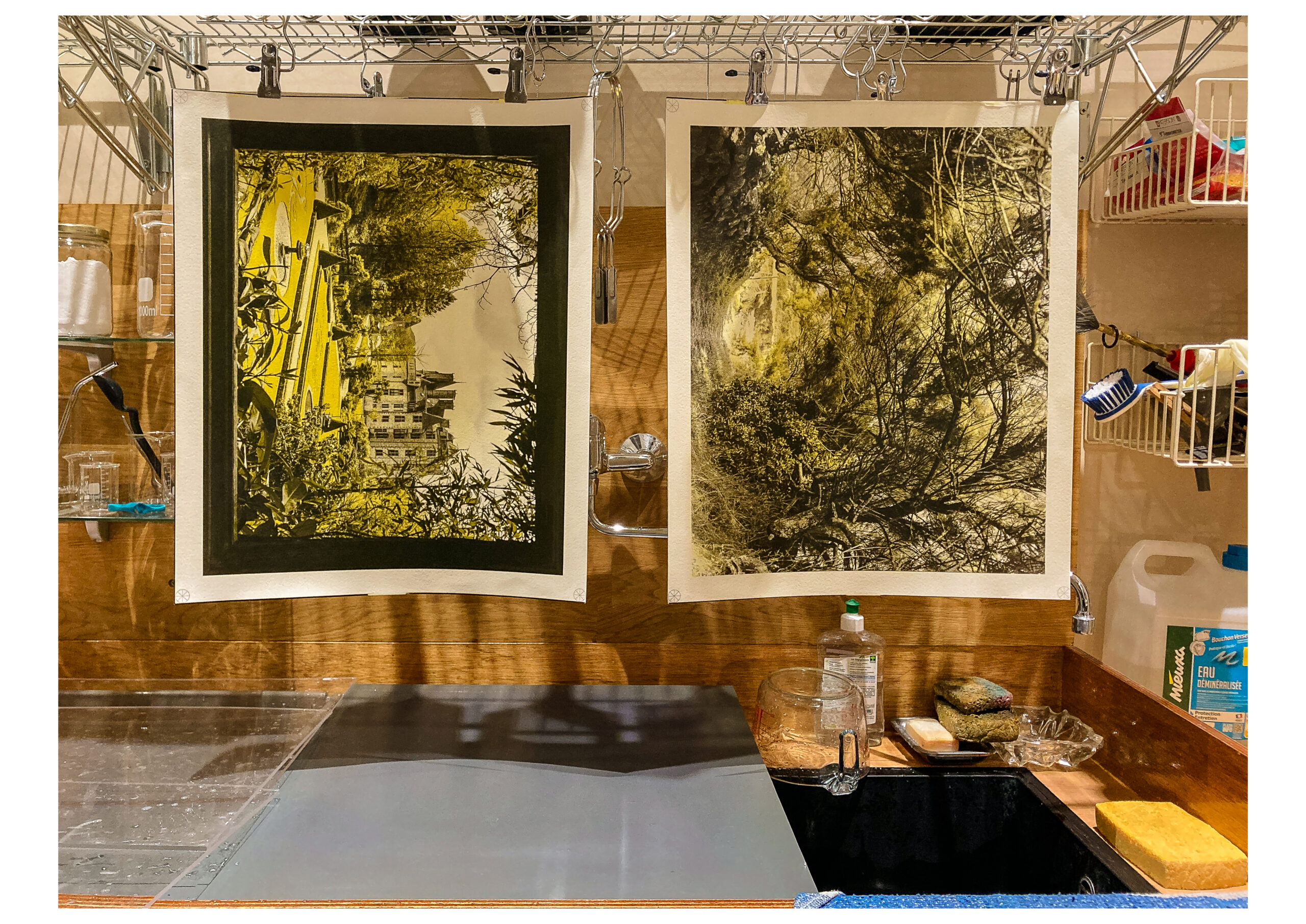 Glimpse of tricolor gum over palladium, work in progress, in Elise Prudhomme's wet darkroom.