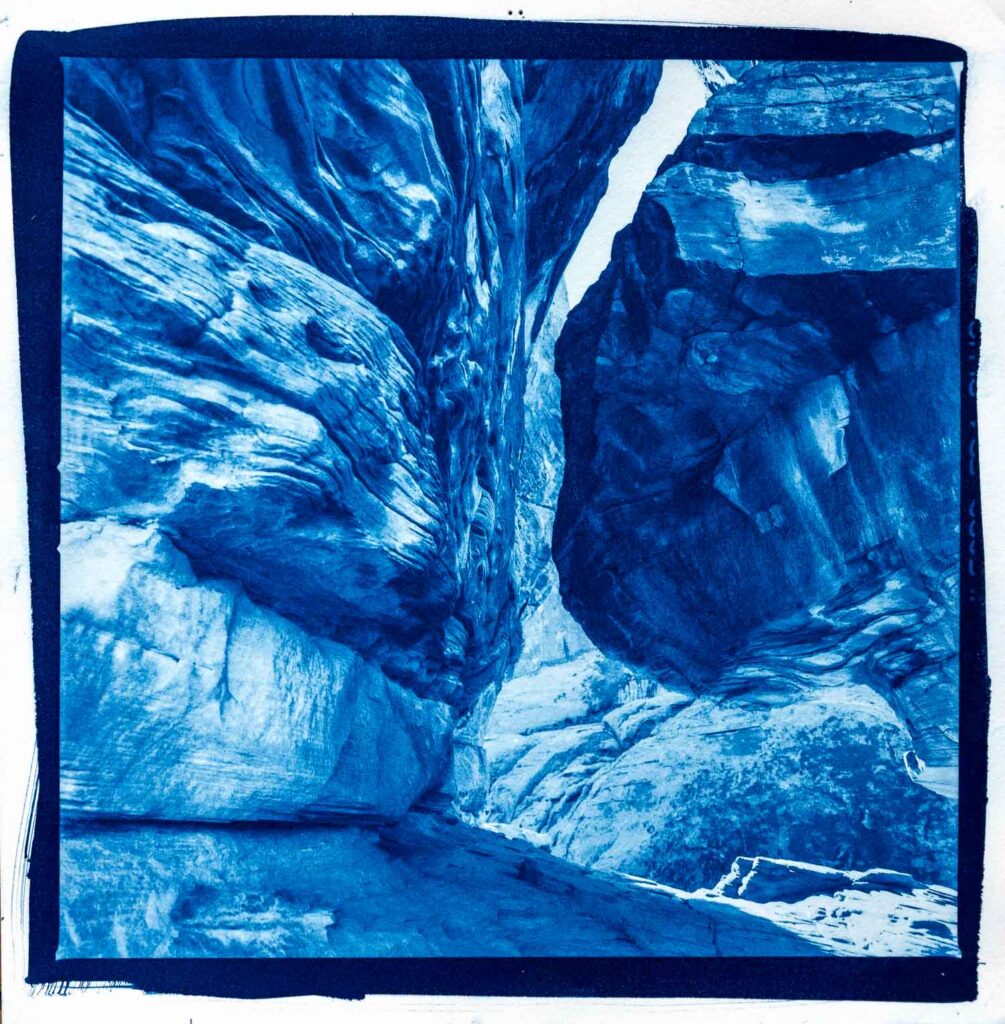 The Art of Cyanotype - Elise Prudhomme in the Press