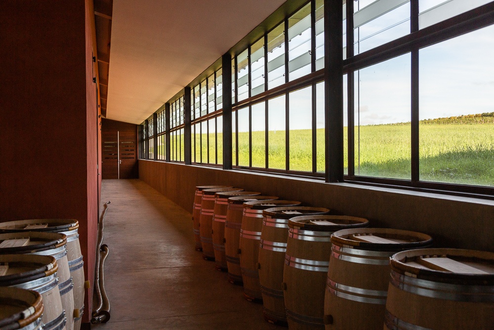 Tasting-room-in-the-barrel-chai-of-Chateau-Pavie-Macquin-St-Emilion-Gironde-France