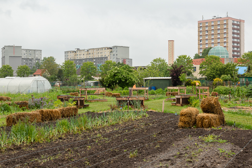 Garden of the Sensitive Zone, Seine-Saint-Denis.  L'inauguration de la Ferme Urbaine de Saint-Denis le 11 mai 2019.  Zone Sensible / Parti Poétique et la Ferme Ouverte de Saint-Denis.