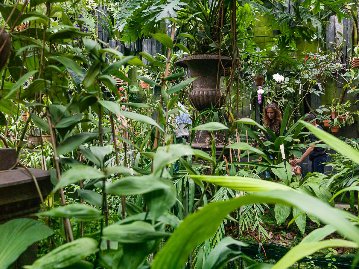 Inside the greenhouse orchid collection installed by Patrick Pottier at the Château du Champ de Bataille, Normandy, France.