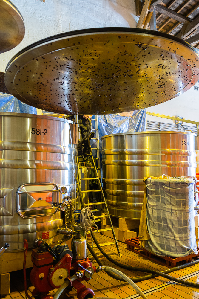 Topping off stainless steel tanks at Wine Estate Chateau Pavie Macquin, Saint Emilion, Bordeaux region, Department of the Gironde, France.