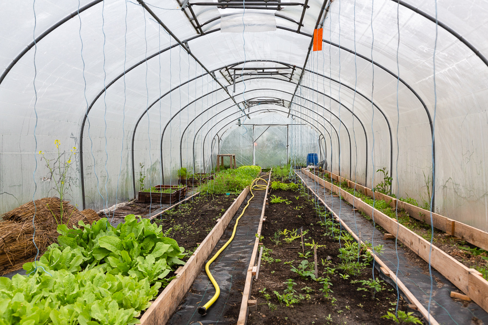 Greenhouse in the garden of the Sensitive Zone, Seine-Saint-Denis.  L'inauguration de la Ferme Urbaine de Saint-Denis le 11 mai 2019.  Zone Sensible / Parti Poétique et la Ferme Ouverte de Saint-Denis.
