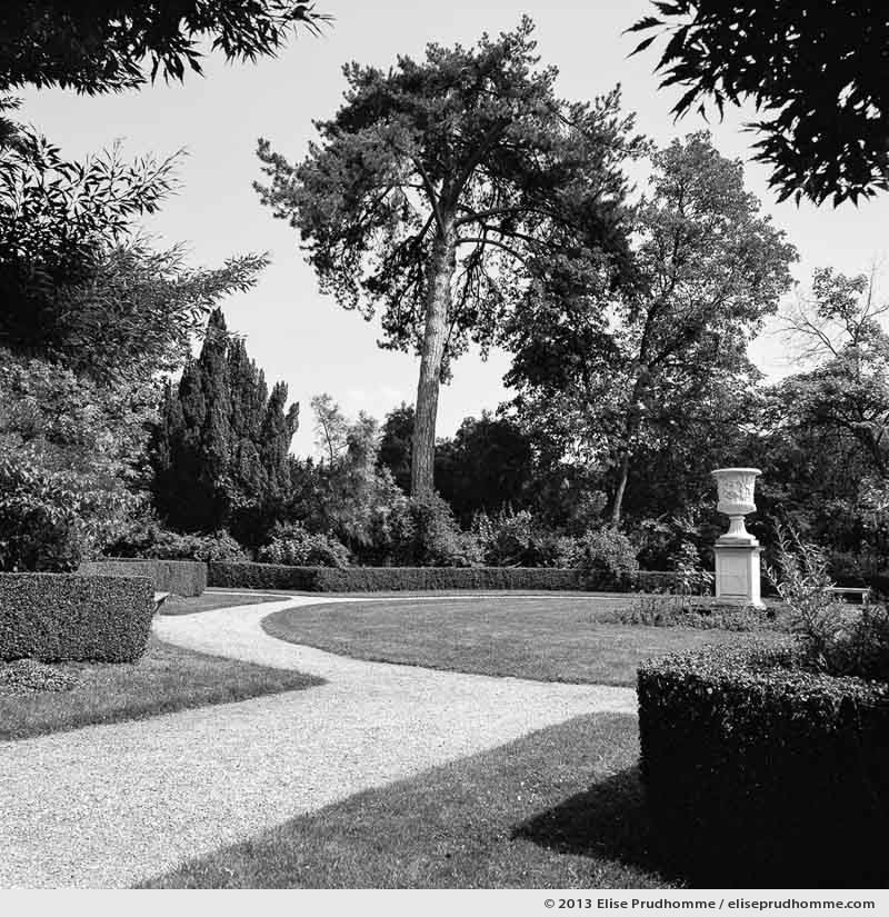 Jardin du roi, Versailles Chateau Garden, France, 2013 (part of the series Yours, Mine, Le Nôtre's) by Elise Prudhomme.