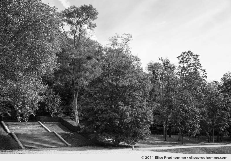 La voie, Parc de Sceaux, France, 2012 (series Yours, Mine, Le Nôtre's) by Elise Prudhomme.