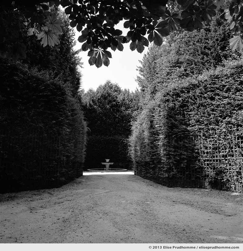 Salle des marronniers, Versailles Chateau Garden, France, 2013 (part of the series Yours, Mine, Le Nôtre's) by Elise Prudhomme.