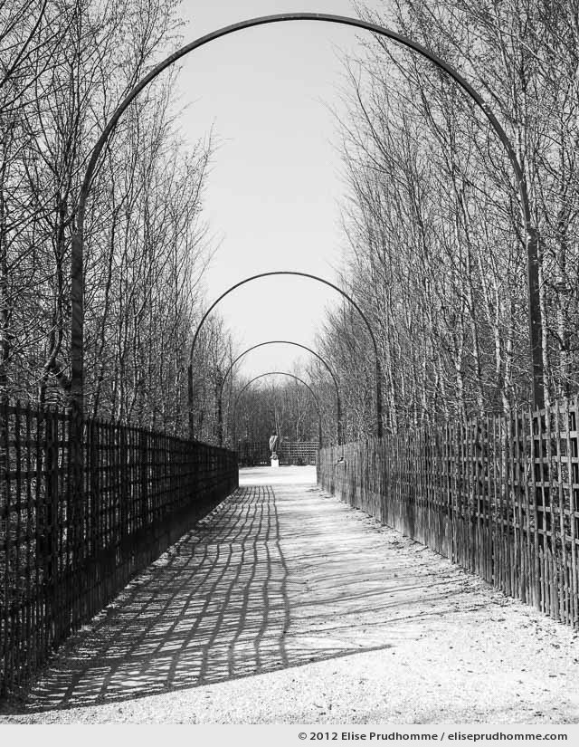 Projeté, Versailles Chateau Garden, Paris, France, 2012 (part of the series Yours, Mine, Le Nôtre's) by Elise Prudhomme.