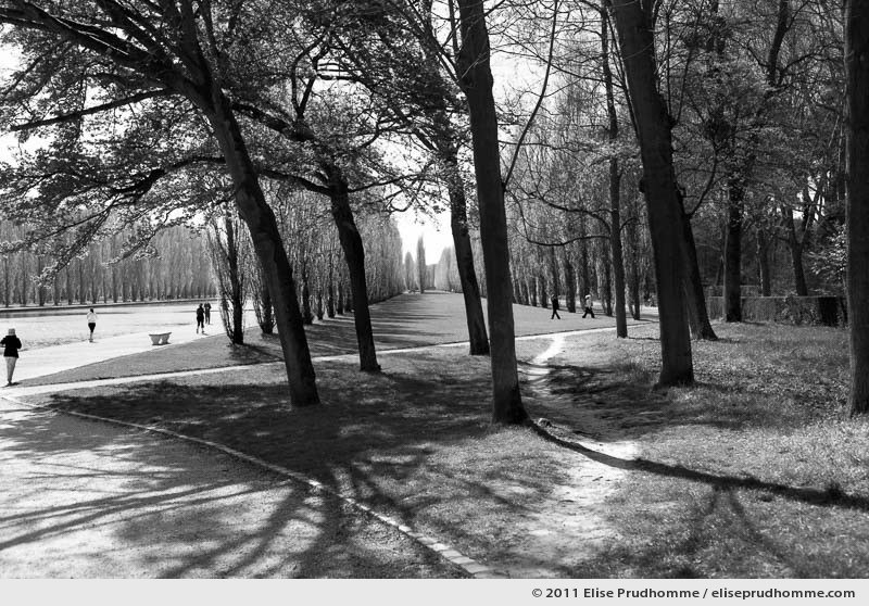 Le Grand Canal, Sceaux Park, France, 2012 (series Yours, Mine, Le Nôtre's) by Elise Prudhomme.