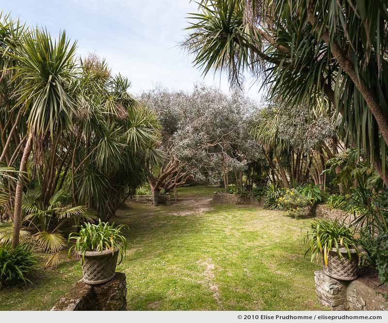 The Blue Arch, Botanical Garden of Vauville, Normandy, France, 2010 (series Notable Gardens of France) by Elise Prudhomme.