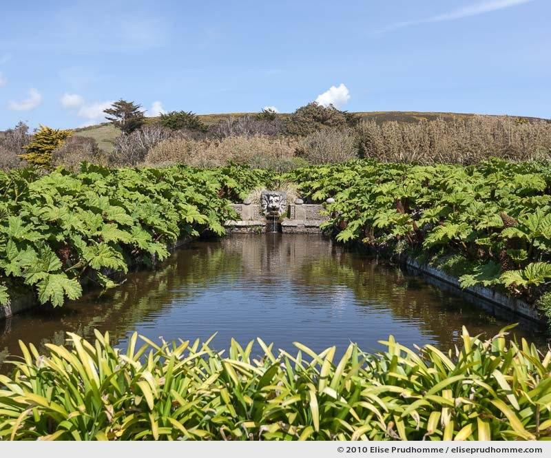 The Gunnera Basin, The Botanical Garden of Vauville, Normandy, France, 2010 (series Notable Gardens of France) by Elise Prudhomme.