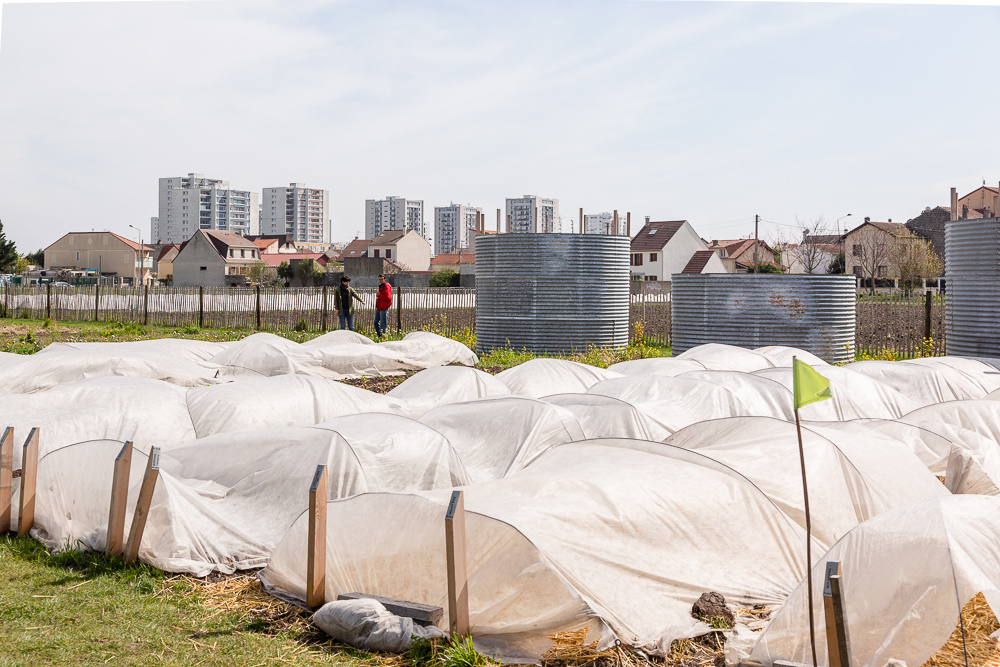 Overview of the permaculture garden at the Sensitive Zone - Urban Farm of Saint-Denis.