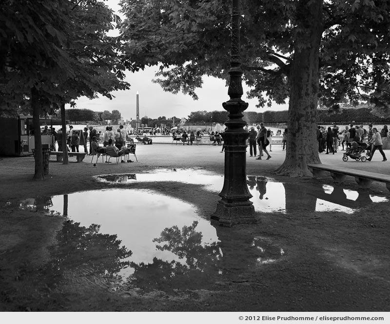 Point de fuite or Vanishing Point, Tuileries Garden, Paris, France, 2012 (part of the series Yours, Mine, Le Nôtre's) by Elise Prudhomme.