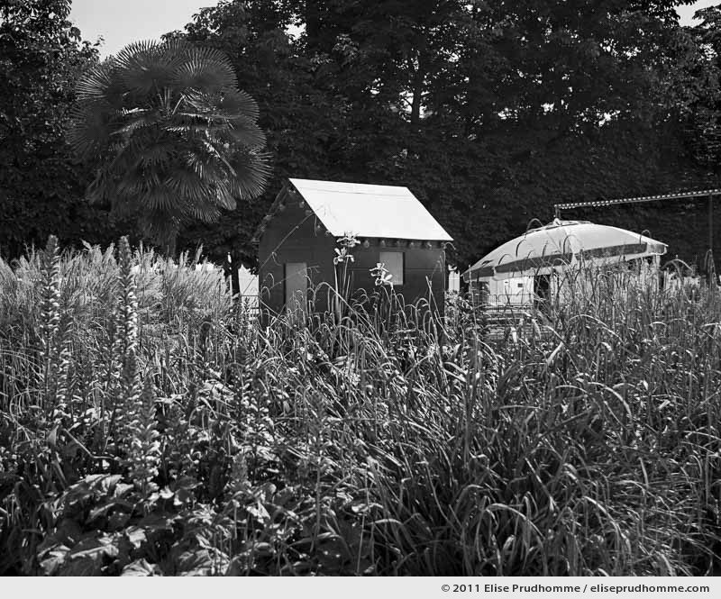 Exotique or Exotic, Tuileries Garden, Paris, France, 2011 (part of the series Yours, Mine, Le Nôtre's) by Elise Prudhomme.