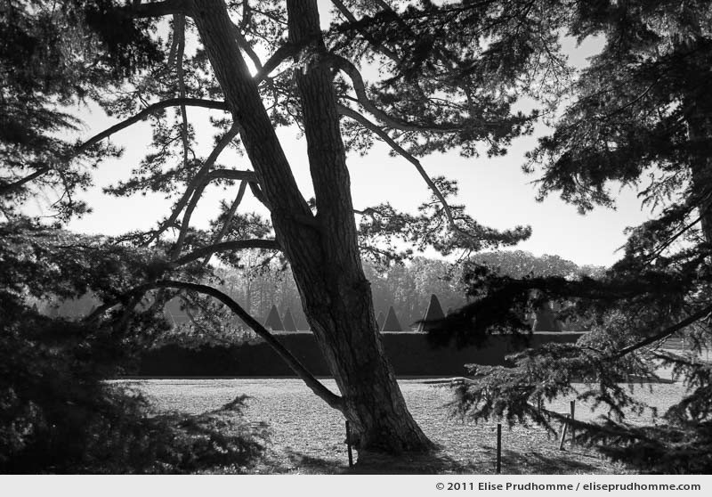 Estampe, Sceaux Park, France, 2012 (series Yours, Mine, Le Nôtre's) by Elise Prudhomme.