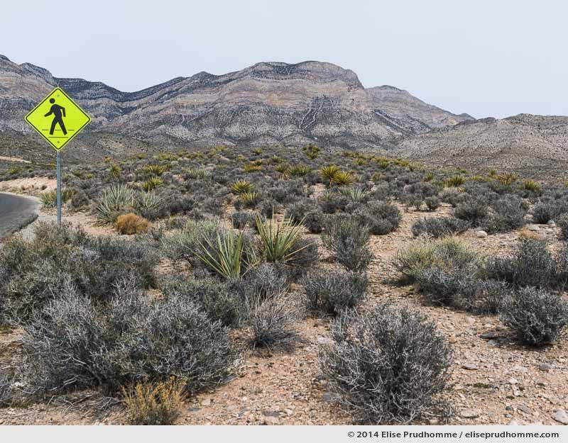Walk this way signage in the rocky landscape of Red Rock Canyon National Conservation Area, Nevada, USA, 2014 (series Wild Wild West) by Elise Prudhomme.