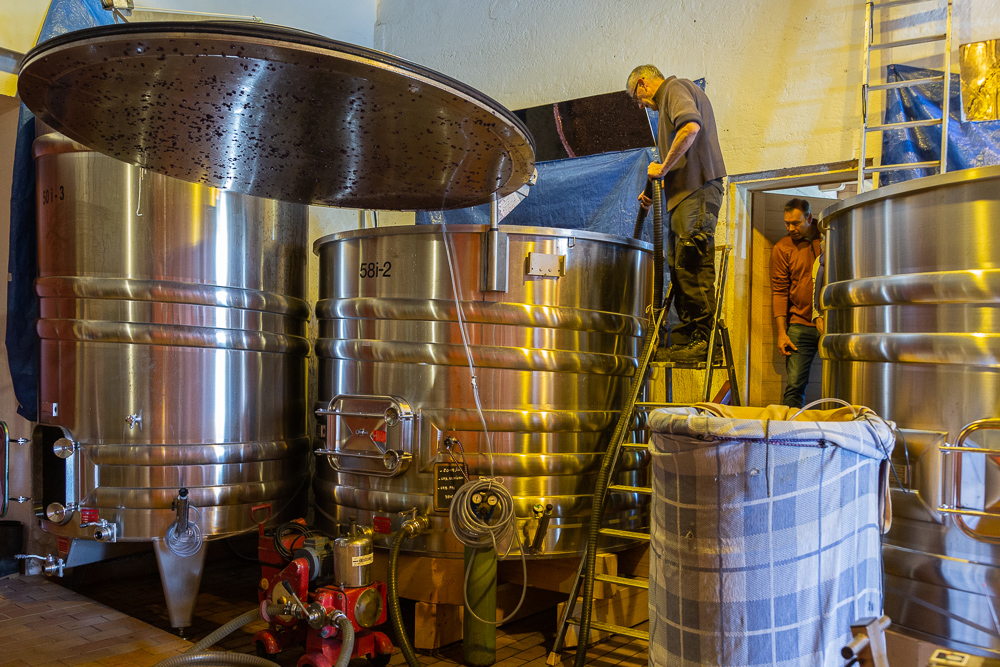 Topping off stainless steel tanks at Wine Estate Chateau Pavie Macquin, Saint Emilion, Bordeaux region, Department of the Gironde, France.