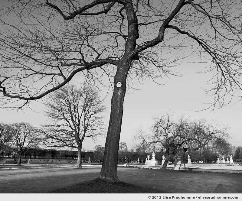Pas de deux, Tuileries Garden, Paris, France, 2012 (part of the series Yours, Mine, Le Nôtre's) by Elise Prudhomme.