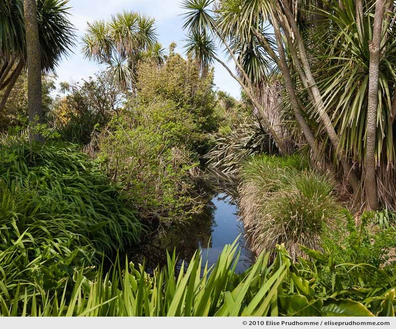Prolongement de l’Abreuvoir, The Botanical Garden of Vauville, Normandy, France, 2010 (series Notable Gardens of France) by Elise Prudhomme.