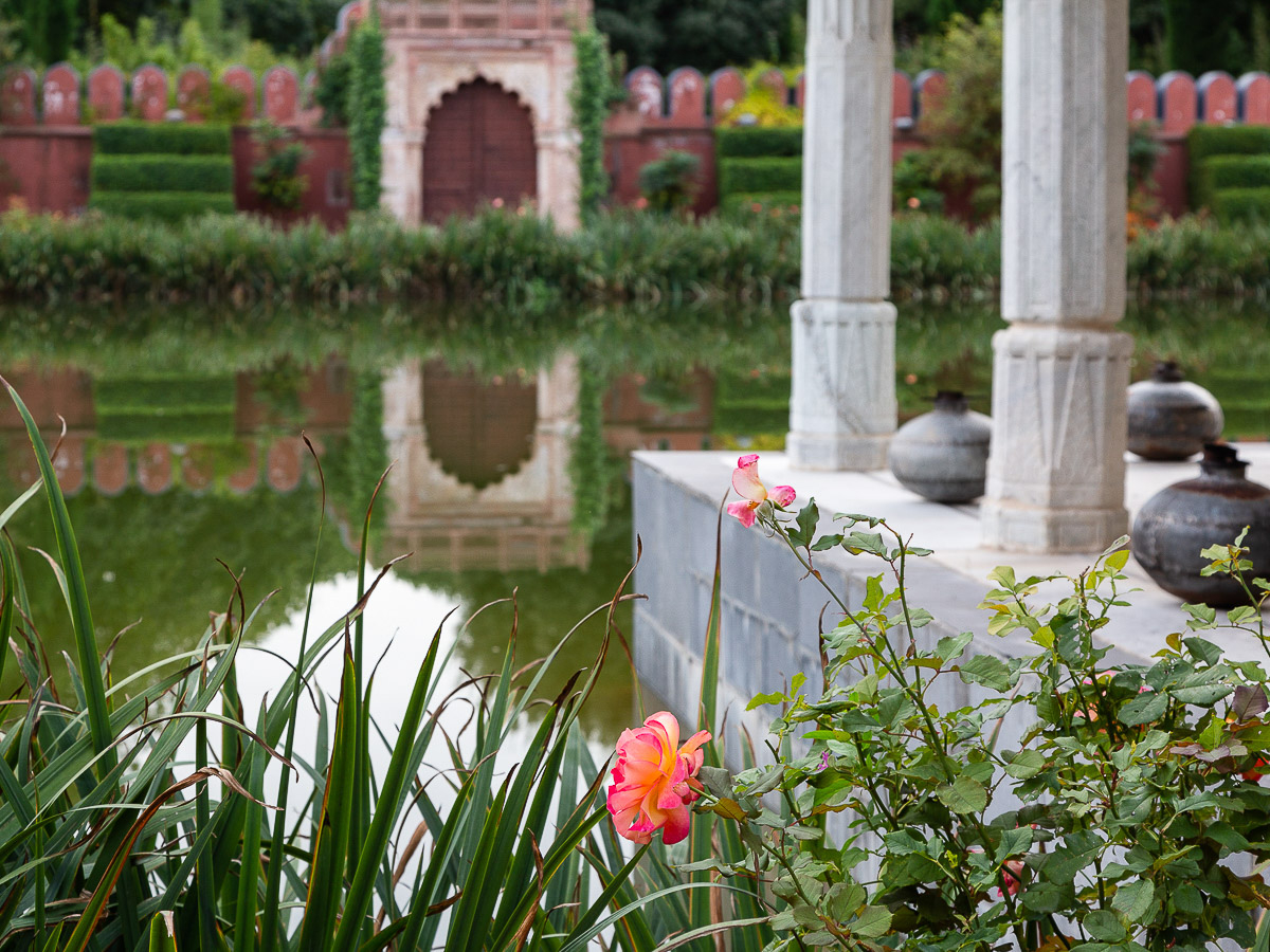 Rose and reflection in the Palace of Dreams reconstructed from an Indian palace, Chateau du Champ de Bataille, France