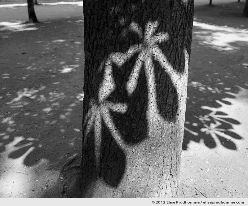 Camouflage, Tuileries Garden, Paris, France, 2011 (part of the series Yours, Mine, Le Nôtre's) by Elise Prudhomme.
