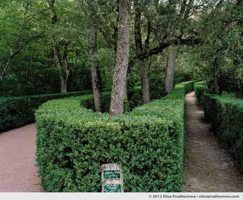 Path to the Belvedere, The Suspended Gardens of Marqueyssac, Vezac, France (series Notable Gardens of France) by Elise Prudhomme.