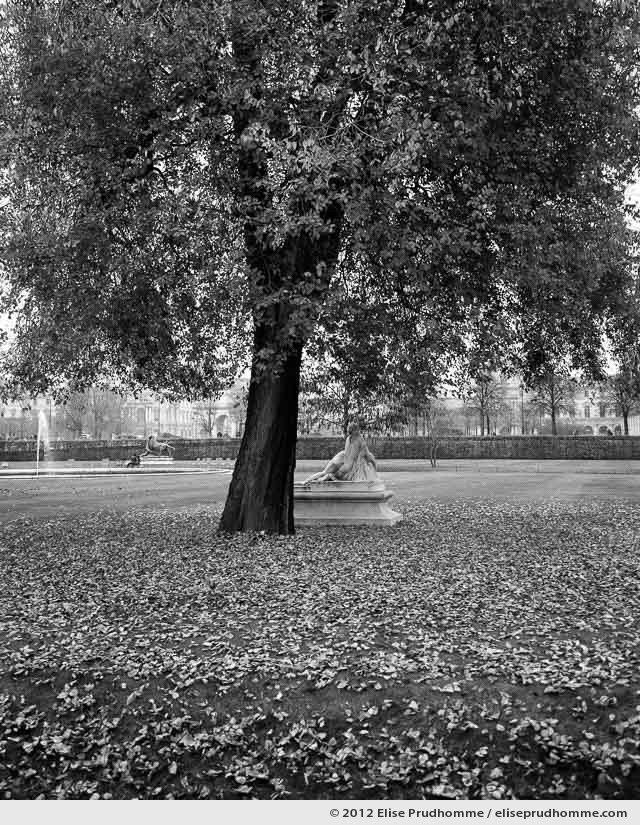 Impressioniste or Impressionist, Tuileries Garden, Paris, France, 2011 (part of the series Yours, Mine, Le Nôtre's) by Elise Prudhomme.