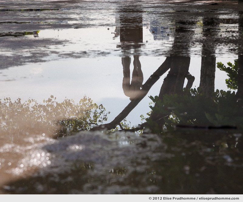 Mirage, Tuileries Garden, Paris, France, 2011 (part of the series Yours, Mine, Le Nôtre's) by Elise Prudhomme.
