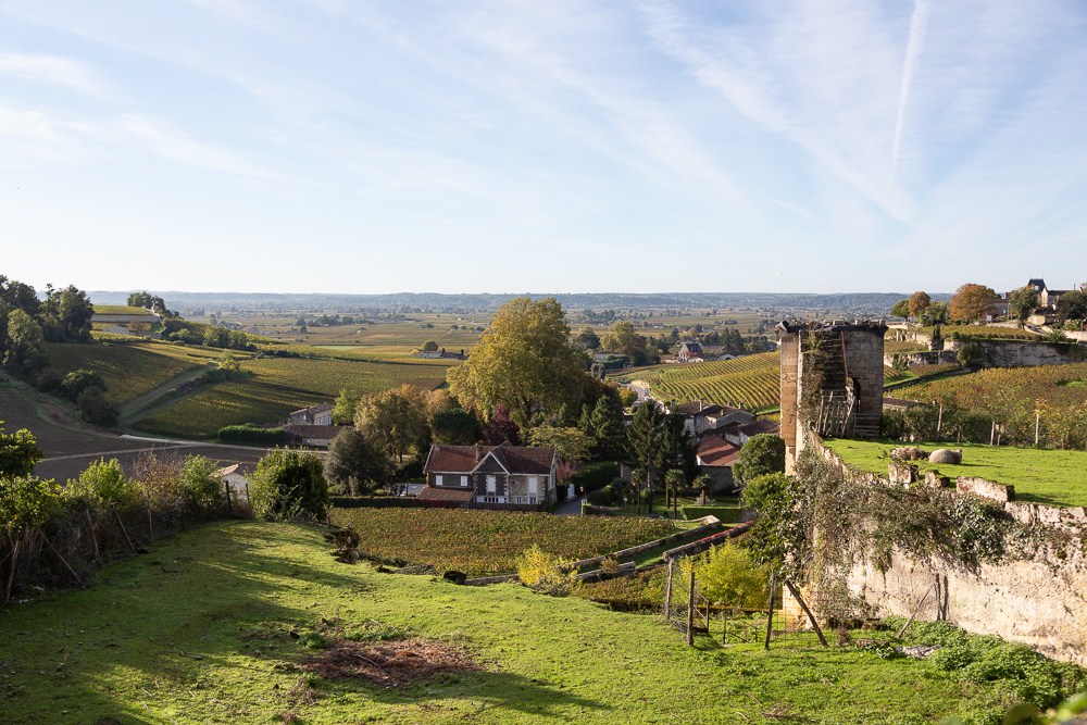 Below the Brunet Gate, the Fongaban Valley hosted in the gardens of Saint-Emilion and many water mills in the Middle Ages, Gironde, France.